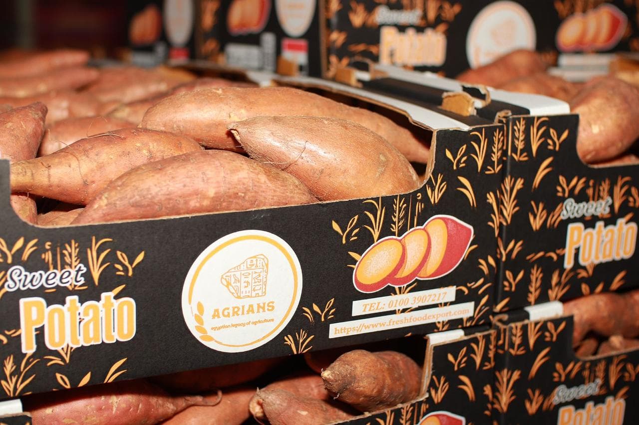 Sweet potatoes packed in Agrians export crates